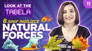 NATURAL FORCES 💧🔥🌊 8. Sınıf İngilizce 10. Ünite Kelimeleri, Konu Anlatımı: | Duygu Şenkayalı #11