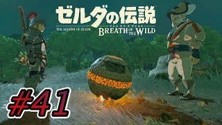 ホシをパクるのがわたくしGAWARAの仕事ですから  #41【ゼルダの伝説ブレスオブザワイルド実況】