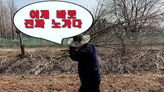 이게 바로 진짜 노가다