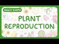 GCSE KS3 Biology Plant Reproduction Anatomy Pollination