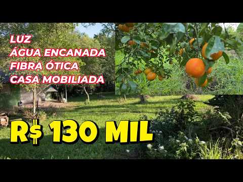 Vídeo