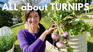 Download lagu How to Grow Turnips & Why EVERYONE should grow them! mp3