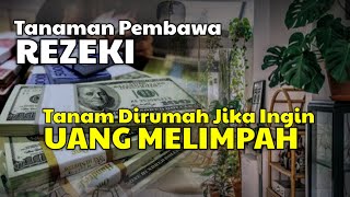 Download lagu Wajib Punya! Inilah 9 Tanaman Hias Pembawa Keberuntungan Dan Penarik Rezeki mp3