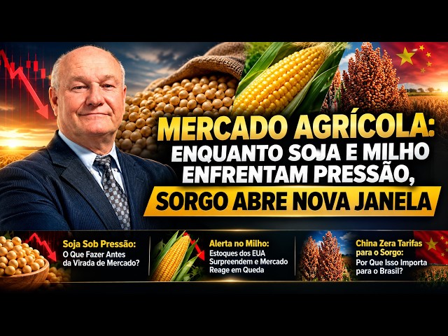 Mercado Agrícola: Enquanto Soja e Milho Enfrentam Pressão, Sorgo Abre Nova Janela.