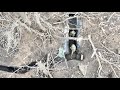 Combat Footage | Drone DESTROYS Russian Trench