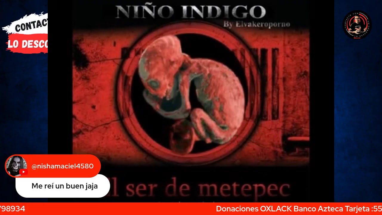 CRÍTICA A UN VIEJO MIADO