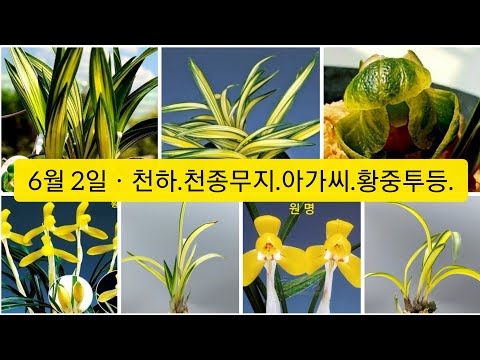유튜브 썸네일