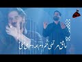 NEW STATUS Janum Ali Ali Nadeem Sarwar Whatsapp Status 2023 New Noha Nouhay Manqabat