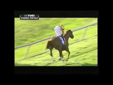 Wise Dan -  2012 Shadwell Turf Mile