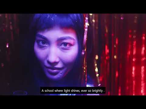 The Bulb on The Highway