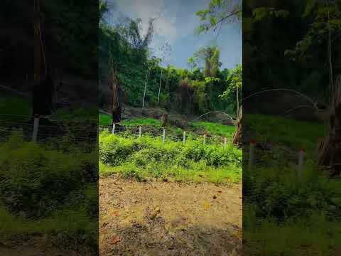 Senderismo - Sardinata Norte santander