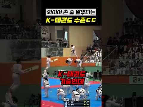 외국인들이 ai 아니냐는 한국 태권도 수준 ㄷㄷ