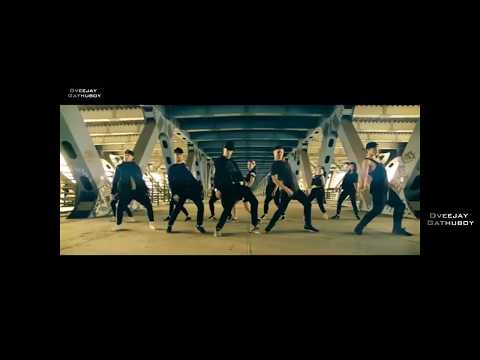 LIFE'S PATH RIDDIM VIDEO MIX BY DVEEJAY GATHUBOY 'THA RINGLEAER'