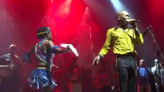 Seun Kuti + Egypt 80 . Live Pau. 20 Juillet 2018. Last Revolutionary