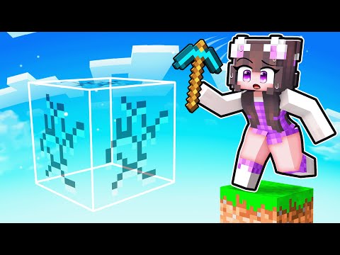 Ich habe meine Freunde in einer FAKE OneBlock Welt eingesperrt!