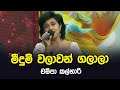 Midum Walawan Champa Kalhari Tharu Piri Re Siyatha TV
