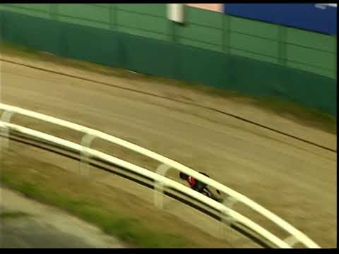 Saturday 4 February 2023 Trial 8 - Roanna Daisy