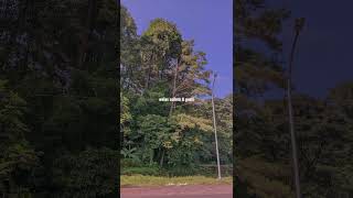 Download lagu vidio story wa lagu 30 detik pop sunda #status #statusvideo #storywa #storytime #storywa30detik mp3