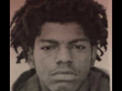 DarGuwop- wop flow 2