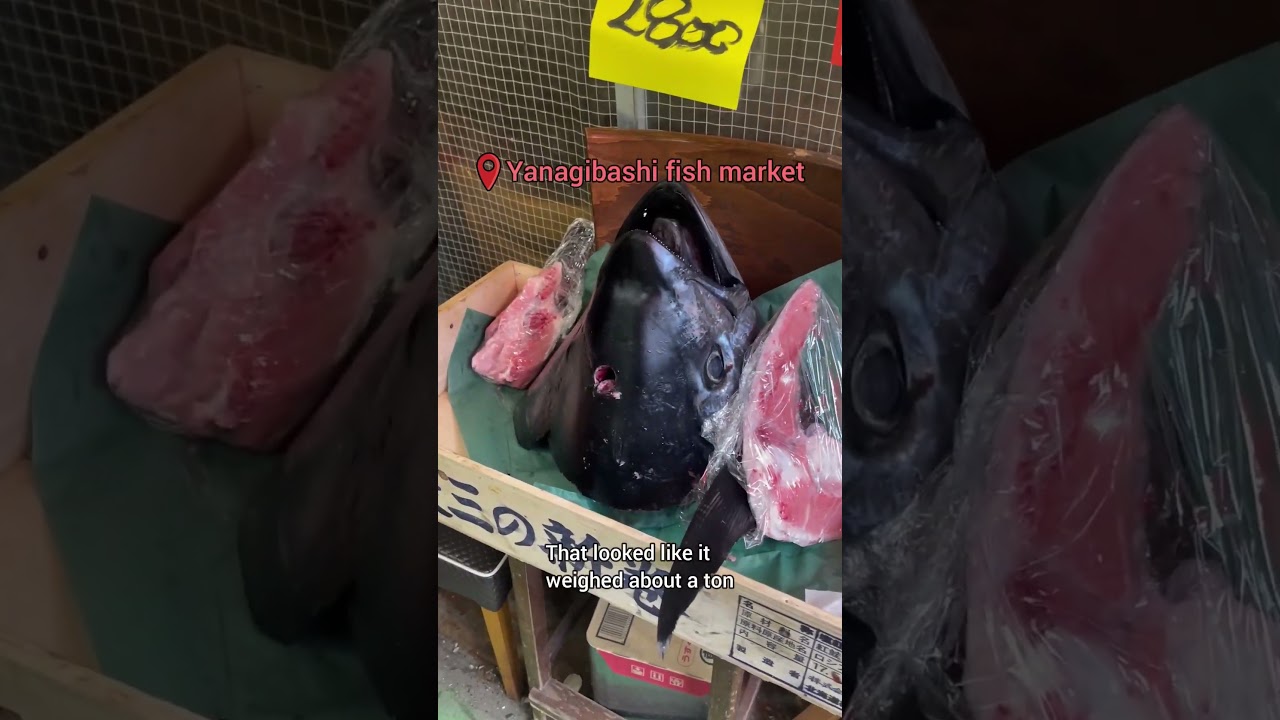 YouTube Short thumbnail