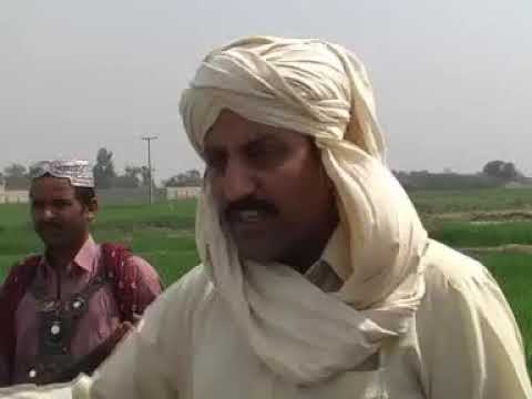 HEWAN, SINDHI FILM,01,MUJEEB LAGHARI,RAJA MUMTAZ,TARIQ KHAN KAZI K.N.SHAH