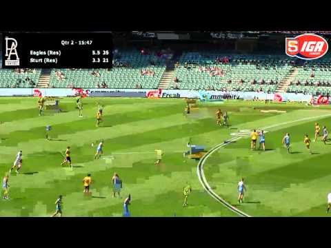 2014 SANFL Reserves Grand Final - Eagles v Sturt