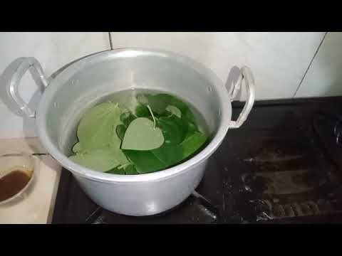 "Pembuatan Granulasi Serbuk Jamu Temukunci Sirih"