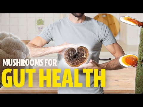 The Gut-Brain Axis: Why Mushrooms Might Benefit our Brains via the GUT