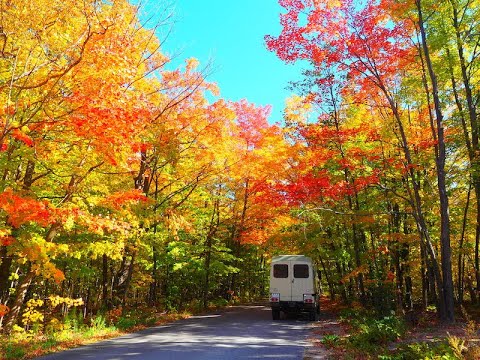 Magical Indian summer with such a variety of colors in Canada. Ep. 17