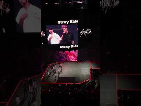 190818 Stray Kids Miroh