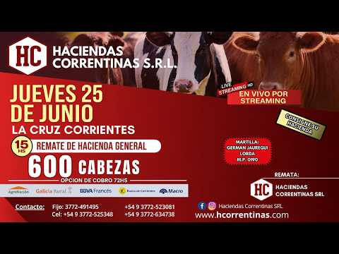 Remate de Hacienda General en Vivo | Haciendas Correntinas S.R.L. | La Cruz, Corrientes