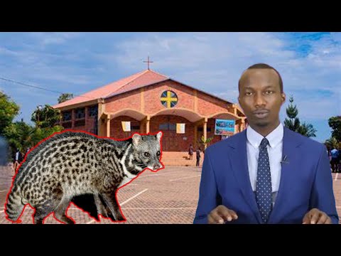 IKIBWIRIZWA :INGUNZU MU NSENGERO By: MUCYO Alain