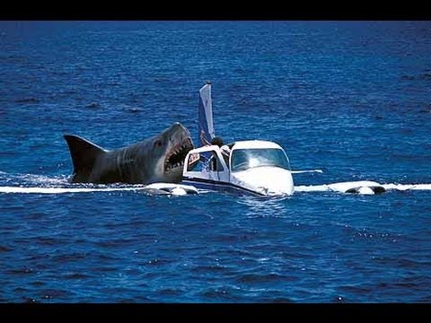 Megalodon Shark Attack Caught On Camera Attacking Crash Air Plane Off Coast of Cambodia real or fake