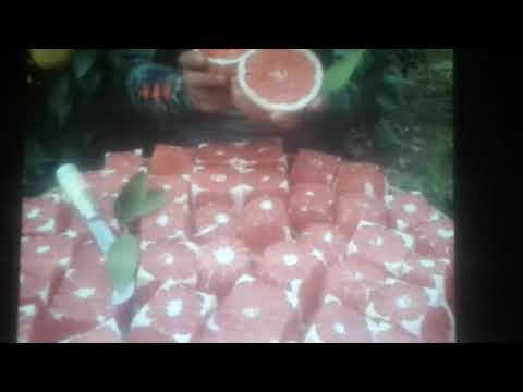 Farm Fresh Ninja Fruit Cutting Oddly satisfying