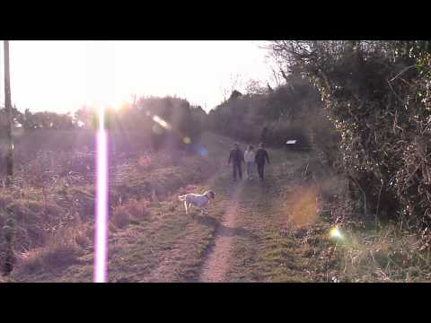 WALK WITH JAH - PAUL FOX - KARNATONE RECORDS