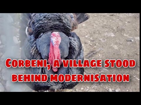 Corbeni, Arges (District), Romania.  Walking  around a traditional village