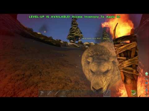 Killed when I was't watching - ARK Ragnarok