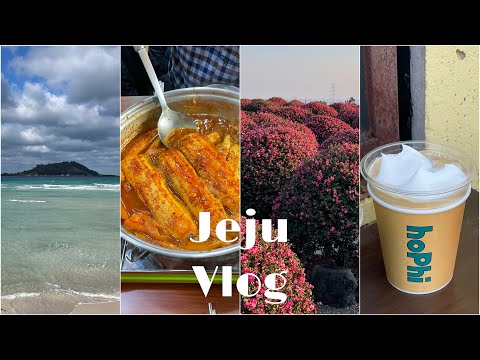 제주도가 고향인 사람이 추천하는 제주도 맛집 & 카페 등 20곳 🌴(4박5일동안 먹고 마시기만 한 제주)