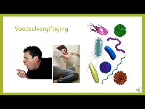 GASVRYHEIDSTUDIE GRAAD 11: 18 Junie 2020 - periode 3 (18113)