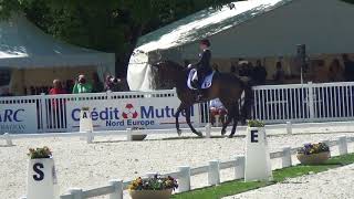 Qui remportera le titre de Champion de France Pro Élite ?