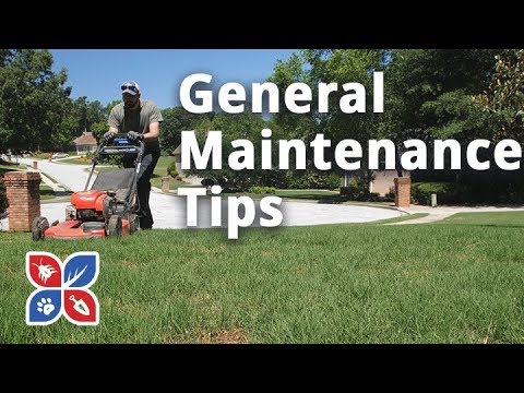  Do My Own Lawn Care - General Maintenance Tips Video 