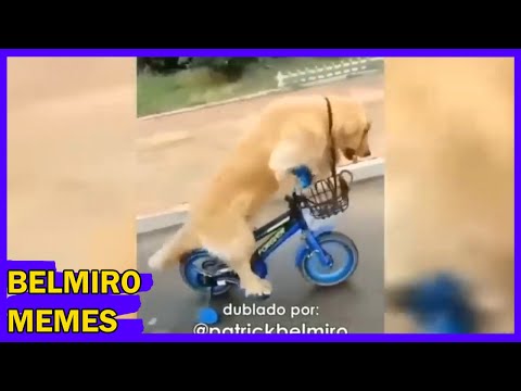 Belmiro Memes: Melhores dublagens do ano parte 7