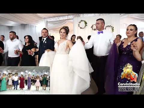 VIOLETA CONSTANTIN 🌸 LIVE 2023 🌸 COLAJ HORA MARE 2023 🌸 COLAJ DE PETRECERE 🌸