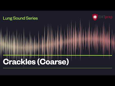 RALES / Coarse Crackles