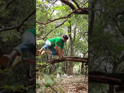 And into the forest I go, to loose my mind and find my soul. #Shorts #youtubeshorts #nature