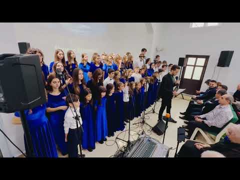 Flori si Stele - Concert Rosiorii de Vede 