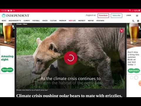 grizzy bears dont even know what kind species they are supposed to breed with esau's fault