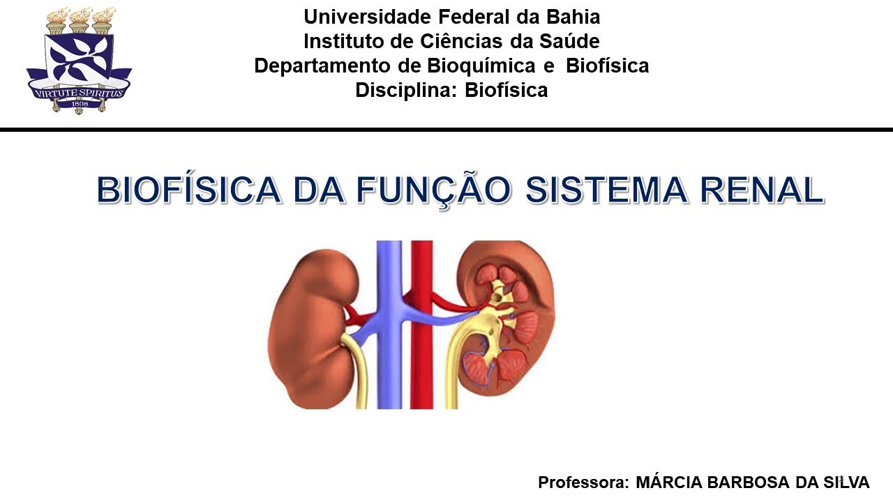 Biofísica da função renal_parte 3 (osmolaridade e tonicidade)