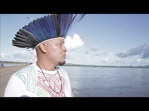 A Arte Alimenta a Vida | Curtas Democracia