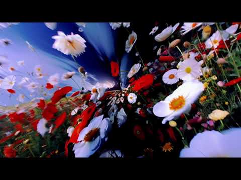 RÜFÜS DU SOL - Music is Better (Club Edit) [Official Audio]